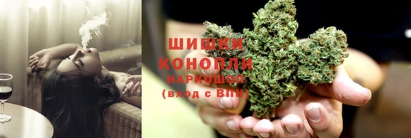 гидра Ладушкин