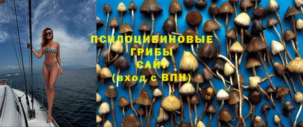 прущая мука Кулебаки