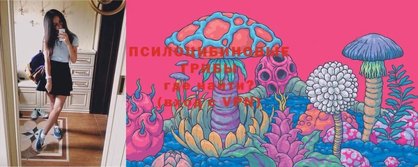 ешки Кукмор