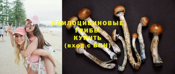 а пвп мука Лагань