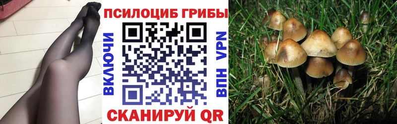 сколько стоит  Среднеколымск  omg ТОР  Галлюциногенные грибы Cubensis 